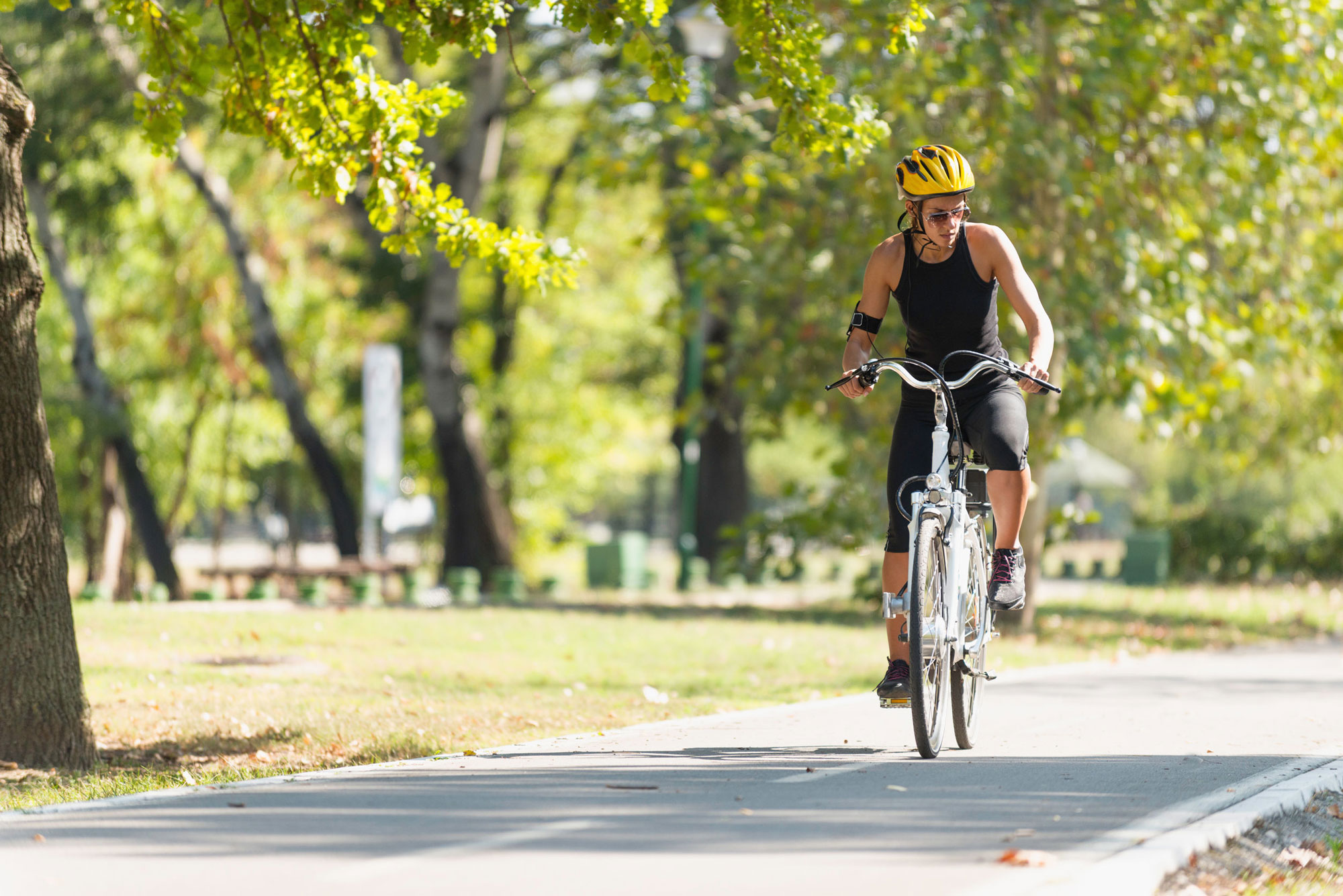 Top E-Bike Brands Top E-Bike Brands