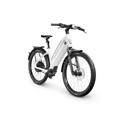 Stromer Daylight, Stromer headlight, moon gray
